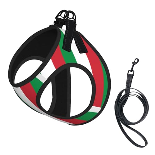 Italy Flag No Pull Dog Harness and Leash Set, Reflective Vest for Small Dogs Adjustable, Cute Flag Puppy Harness Breathable Mesh for Walking Leash Training,Large