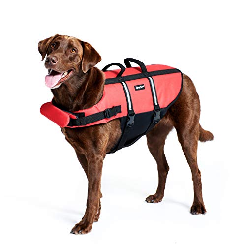 ZippyPaws Adventure Dog Lifejacket, Swimming Vest for Dogs & Puppies, Life Jacket for Swim Training Small Medium & Large Dogs – Red, X-Small ZippyPaws Adventure Dog Lifejacket, Swimming Vest for Dogs & Puppies, Life Jacket for Swim Training Small Medium & Large Dogs – Red, X-Small