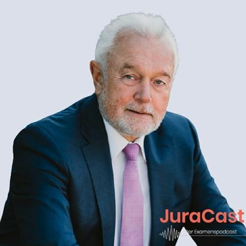50 Professionals - Gast: Wolfgang Kubicki (stlv. Bundestagspr&auml;sident) (Jura-Podcast)