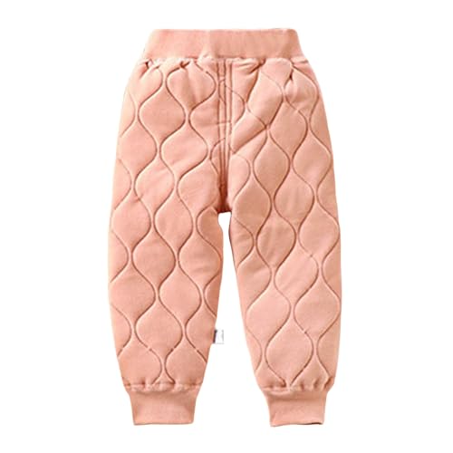 _Epc j̎q ̎q xr[ h h Opc LbY ~  t[X O _炩 Ci[ ʊw [EFA v[g w (XCJbhC100)