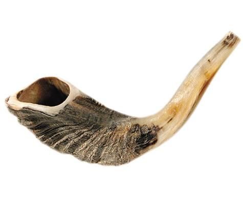 Ram's Horn Shofar Kosher Mini 10