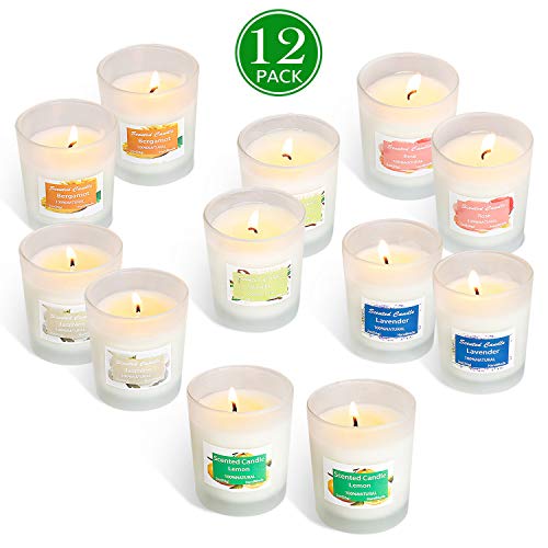 YIIA Scented Candles 12 Pack Gift Set, Aromatherapy Set of Fragrance Soy Wax, 12-15 Hours Burn Time Per Cup, 12 x 2 Oz for Stress Relief, Mother's Day Father's Day Hostess Gift Set