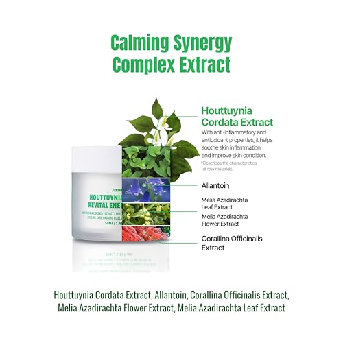 JUSTBEME Houttuynia Cordata Revital Energy Cream/Hydrating Face Moisturizer for Dry, Sensitive Skin, Korean Skincare for Men and Women (50ml / 1.09 fl oz)