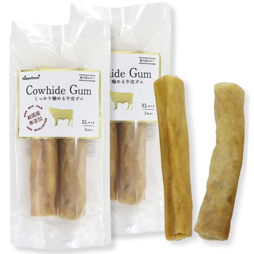 Happy Days(nbs[fCY) YY 芚߂鋍KXL 2{×2Zbg