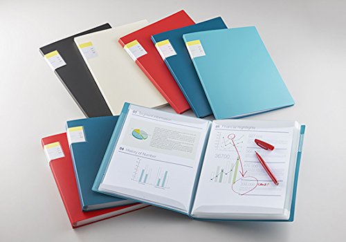 ☆ KeiJページ☆2個 momose IKEBE ORIGINAL ORDER MJS1-STD/R (3TS/べっ甲PG