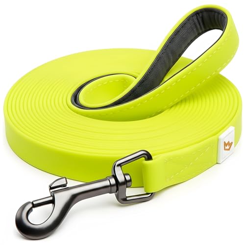 Rudelkönig Guinzaglio addestramento per cani - Lunghina cane 5 metri - Resistente e durevole guinzaglio per cani per un'Efficiente educazione del tuo cane