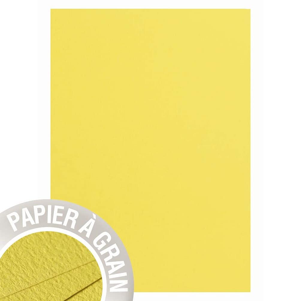 Clairefontaine, Ref 48251C, Pollen Grained Paper (Pack of 25 Sheets), A4 Sized, 210gsm Grained Card, Acid Free