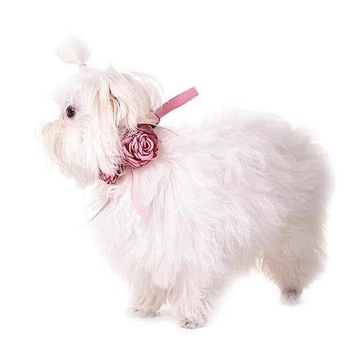 Mineatig Hundehalsband Mit Blume,Hund Hochzeit Halsband,EinstellbareBlumen Haustier Krage,Hochzeit Hundehalsbänder Hundehalsband,Hund Hochzeit Halsband, 45-61cm