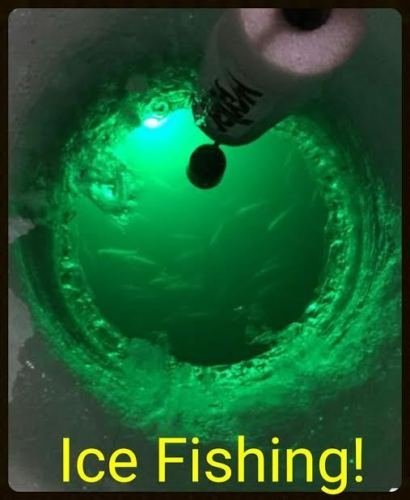 Bright Night Fishing 25Ft Cord Battery Clamp Under Water Green Led 15000 Lumens Night Fishing 300 Led Green Salt Fresh Water Dock Light Boat Crappie 12V Dc (Optional 110V Ac) Br:15000 #TOP6