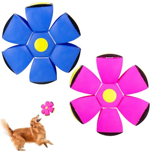 OOXYG Flying Saucer Ball - 2 Pack Dog Disc Toy for Medium Large Dogs, Outdoor Interactive Pet Toy - Blue+Pink