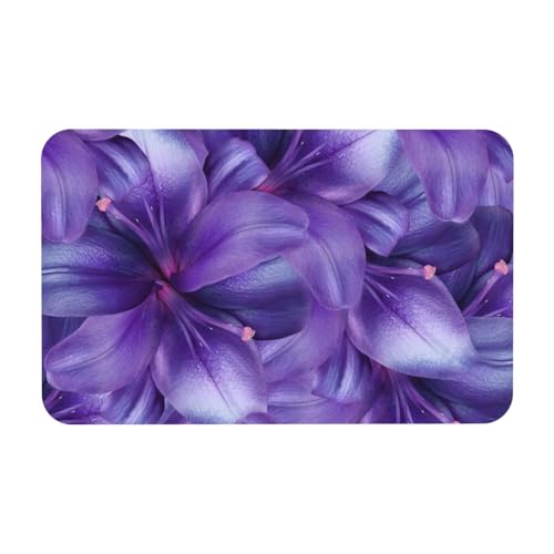 Tapis de bain super absorbant en diatomée lavable et à séchage rapide - 4