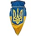Ukrainian Flag Ukraine Windproof Sports Face Mask Suitable for Motorcycle Mask Balaclava Outdoor Riding Scarf