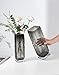 Rxcvkmw Modern Minimalist Glass Square vase, Crystal Glass vase, vase, Dry vase (Grey)