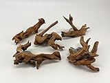 X-Small Driftwood (4.5-7 in) Assorted Natural Aquarium Decoration (3 Pieces)