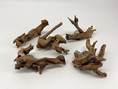 X-Small Driftwood (4.5-7 in) Assorted Natural Aquarium Decoration (3 Pieces)