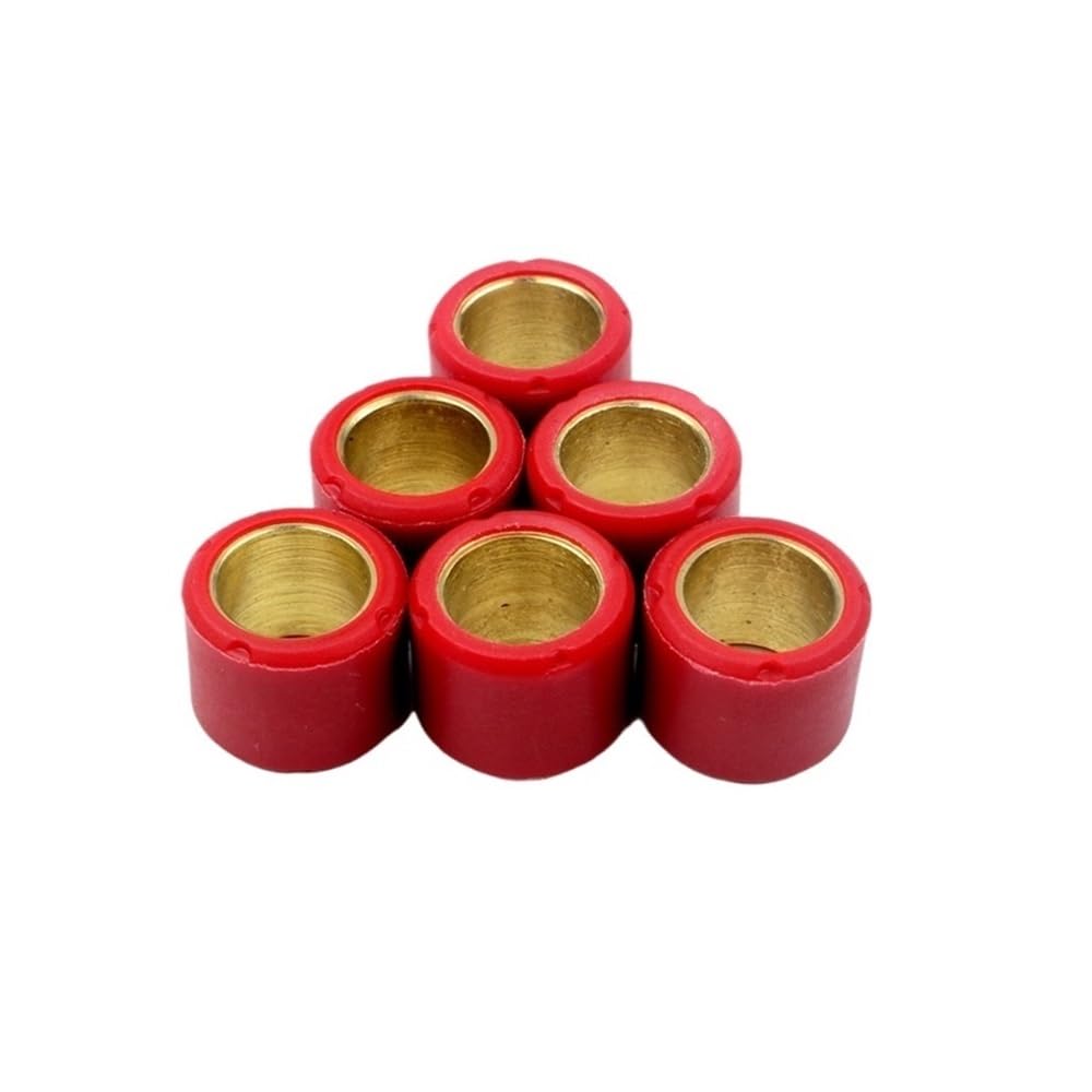 Galets de variateur 16x13mm 6g pour réparer la transmission Ag50
