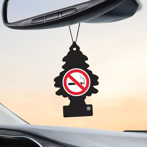 Image of Little Trees Car Air Freshener 6-Pack (NO Smoking)