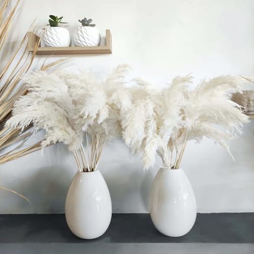 Image of 30 Stems 28 inch inch Large White Pampas Grass Fluffy, Boho Home Decor, Natural Fluffy Pompas Grass Pampas for Living Room Decor, Table Decor, Boho Decor Floor, Party Wedding Decor