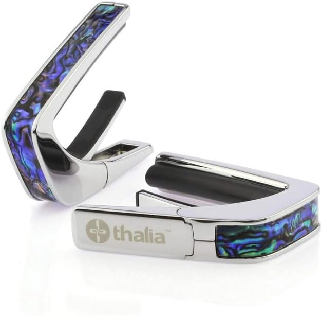 レア！】Kansas WG-250 ジャパンビンテージ 【レア！】Kansas WG-250