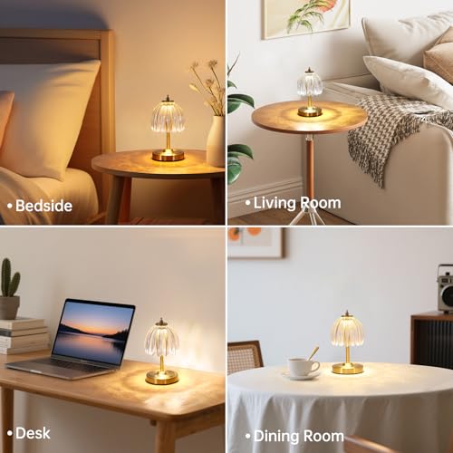 Image of Shenmoyl Tulip Small Table Lamp, 5200mAh Cordless Touch Control Mini Table Lamp with 3 Color Temps & Stepless Dimming, Perfect for Small Spaces like Dressers, Bedsides, Bookshelves (Transparent Tulip)