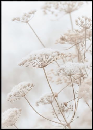 Dekomundo Póster de flores brancas delicadas, 50 x 70 cm para emoldura, decoração de parede moderna para sala de estar, quarto e escritório