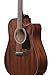 Ibanez AW54CE Artwood Traditional Acoustic-Electric Guitar - Open Pore Natural Bundle with Gig Bag, Strap, D'Addario Strings, Picks, Austin Bazaar Instructional DVD, and Polishing Cloth