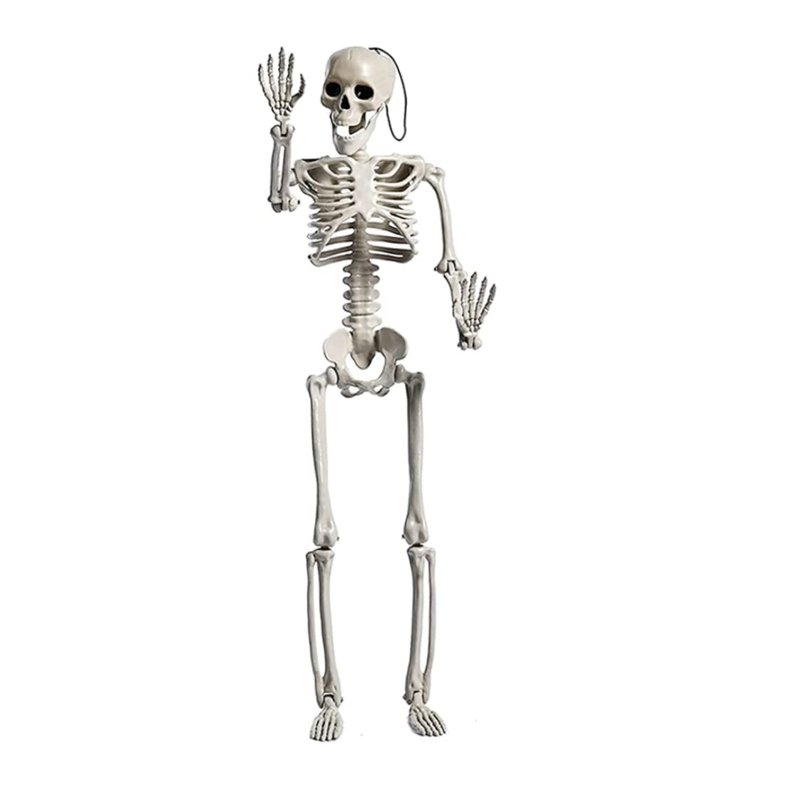 SHITOOMFE 24 Inches Halloween Skeleton Full Body Posable Movable Jonints for Halloween Decoration Decor Halloween Decorations