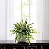 Larksilk Boston Fern Artificial Plant (1, 27' Dia, 27 Fronds)