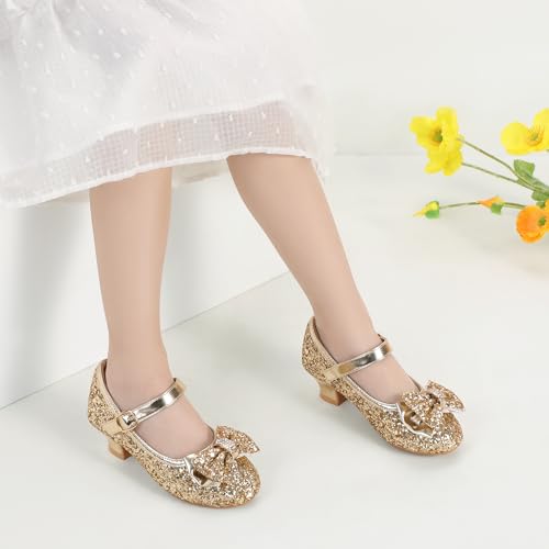 Image of PANDNAINJIA Girls Dress Shoes Toddler Heels Mary Jane Pumps