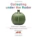 Collecting Under the Radar: Tomorrow's Antiques
