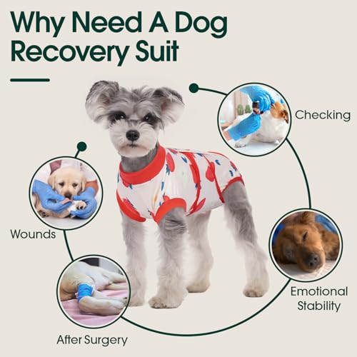 Image of Kuoser Dog Recovery Suit for Surgery, Soft Dog Surgery Suit Female Male Spay Neuter, Anti-Licking Pet Onesie for Abdominal Wounds, Skin Disease, Doggy Cone Alternative Surgical Recovery Bodysuit, M