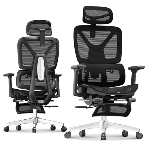 FLEXISPOT ErgoX Premium Chair