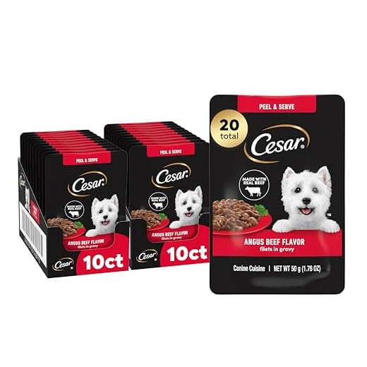 Cesar Filets in Gravy Wet Dog Food, Angus Beef Flavor, 1.76 oz. Mini-Pouch, 20 Count