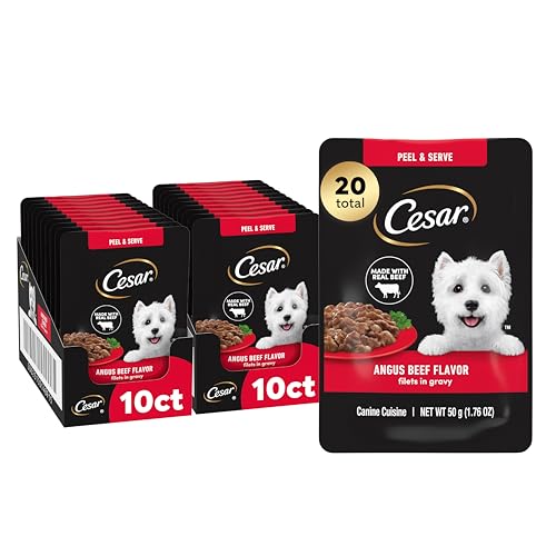 Image of Cesar Filets in Gravy Wet Dog Food, Angus Beef Flavor, 1.76 oz. Mini-Pouch, 20 Count