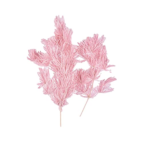 Flores prensadas naturais e secas de verdade para resina, flores secas naturais, kit de ervas a gran