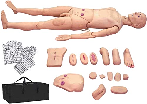 Dissecting Dissection Kit Set Student College Lab School Medical Science Elementary Introductory Anatomy Biology Bird Frog Pig Hard Locking Case