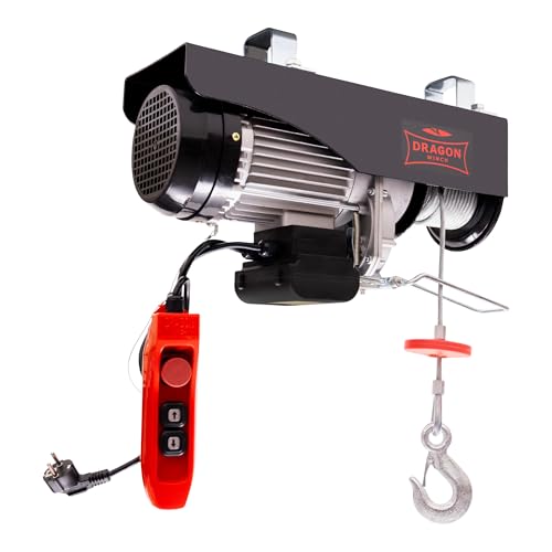 Dragon Winch - Treuil à Câble Électrique 200kg 230V, Treuil-Palan Moteur en Cuivre 450W avec télécommande à câble, palan électrique d'une capacité de charge de 100kg-200kg hauteur de levage 12m