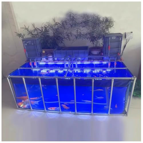 Aquarium d'extérieur en PVC bleu avec cadre en acier et valve