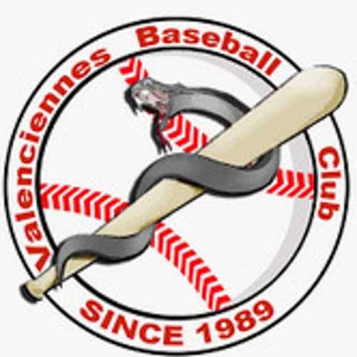 BDB - Episode 9 - Vip&egrave;res de Valenciennes - R&eacute;ussir &agrave; accorder projets sportifs et rentr&eacute;es d'argent