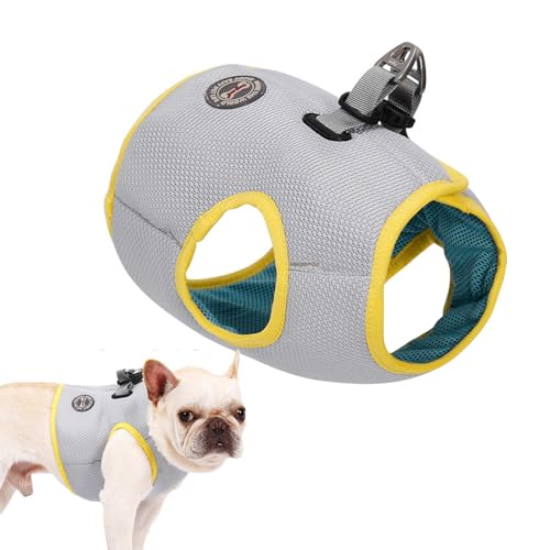 ̗pxXg - ̂߂̕یT}[hbOn[lXApVc|nCLOAEH[LOAMیg[jOZbV̂߂̌yʃfUC^p OxXg