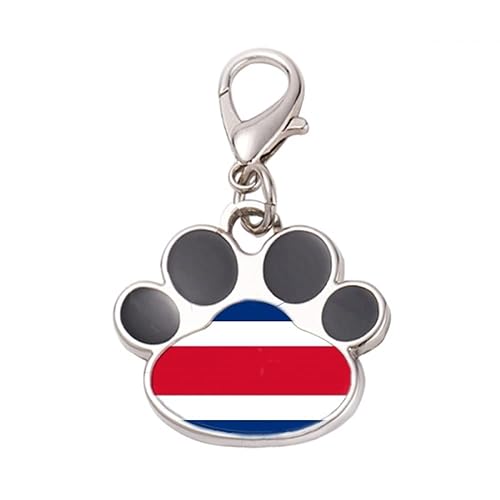 DIYthinker?Costa Rica National Flag North America Country Pet Tag Keychain Dog Cat ID