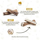 RF-Deer Hundesnack Rothirsch Geweih Kausnack - XXL Hard Plus, Hirschgeweih für Hunde, 100% Natürlicher, Kauspielzeug Hund, Hundespielzeug Kauknochen für Genuss und Zahnpflege - 1 Stück