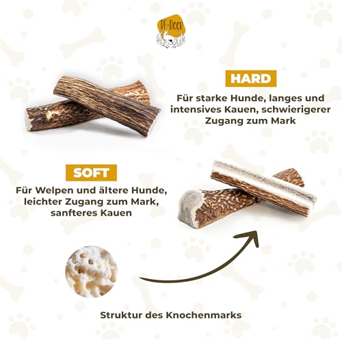 RF-Deer Hundesnack Rothirsch Geweih Kausnack - XXL Hard Plus, Hirschgeweih für Hunde, 100% Natürlicher, Kauspielzeug Hund, Hundespielzeug Kauknochen für Genuss und Zahnpflege - 1 Stück