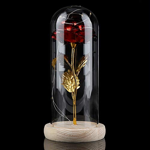 ZJchao Rose, Regalos de Rosas para mamá Esposa Abuela Lámpara de Flores Preservada Flores Luz con Cubierta de Vidrio Flores Navideñas para el Día de San Valentín Aniversario de Bodas de Navidad