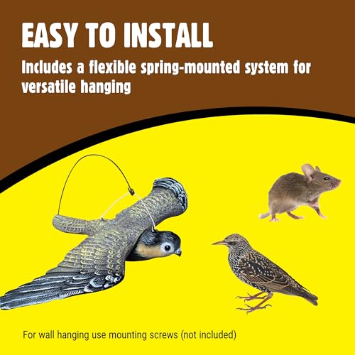 The Big Cheese Flying Falcon with Sprung Hanging System Realistic Decoy Deterrent, Scares Birds From Gardens, Boats, and Buildings, Brown - 4