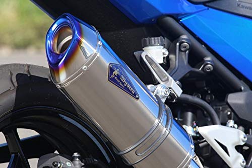 Amazon | アールズギア (r's gear) ワイバン リアルスペック スリップ