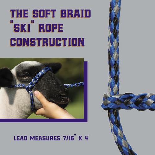 Weaver Livestock Poly Rope Sheep Halter, Modern Style Braid Sheep and Goat Rope Halter, Adjustable Lamb Halter Lead, Livestock Sheep Showing Supplies