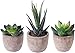 OUNONA 3 Stücke Künstliche Sukkulenten Pflanzen mit Töpfen Tischdeko Haus Balkon Büro Deko