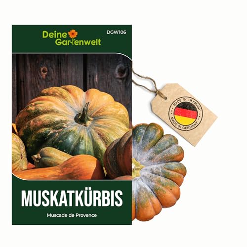 Muskatkürbis Muscade de Provence Samen - Cucurbita moschata - Muskatkürbissamen - Gemüsesamen - Saatgut für 8 Pflanzen