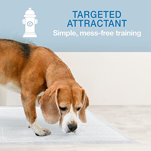 Image of Four Paws Wee-Wee Super Absorbent Unscented Pee Pads for Dogs & Puppies with Insta-Rise Border, Leak-Proof Dog Housebreaking Potty Training Floor Protection, 22 inch x 23 inch, 100 Count